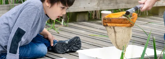 Adult and child catching creatures in pond