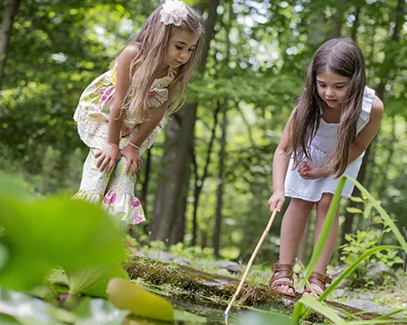 Two girls pond dipping with net