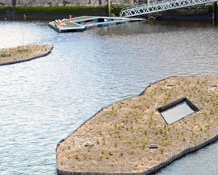 An aerial view of floating wetlands in the Canting Basin beside Glasgow Science Centre