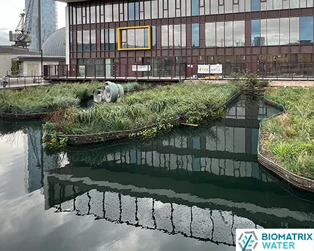 Floating wetlands in situ - copyright of biomatrix