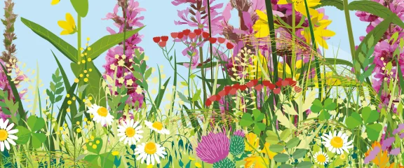 Illustration of flowers and insects against a blue sky