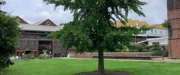 The tree, chimney and community building at the Hidden Gardens