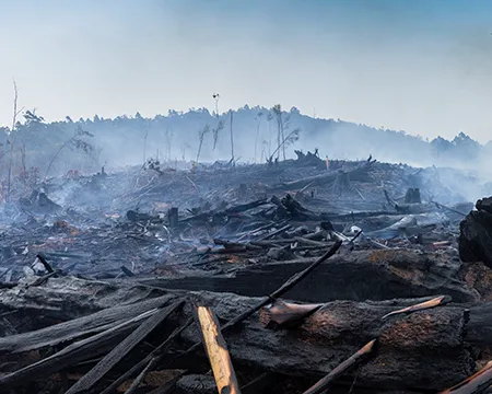 Wildfire smouldering in Australian Outback