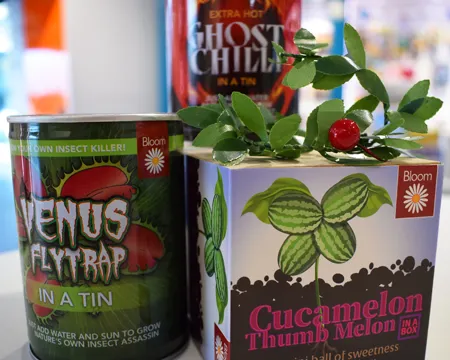 Grow your own kits - venus flytrap, cucamelon and ghost chilli