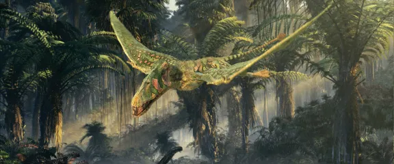 Dimorphodon flys through a wooded landscape