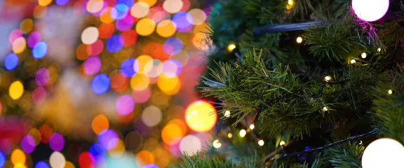 A close-up of a Christmas tree and colourful lights