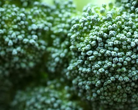 A macro shot of broccoli