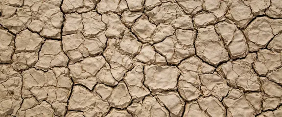 Dry and cracked soil
