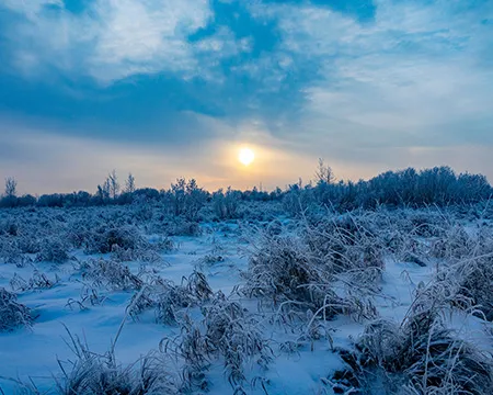 A low winter sun rises over a snowy landscape