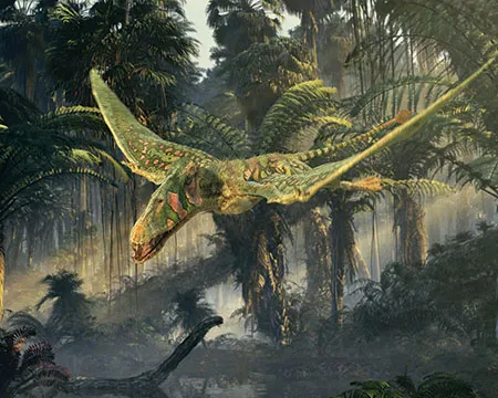 Dimorphodon flys through a wooded landscape