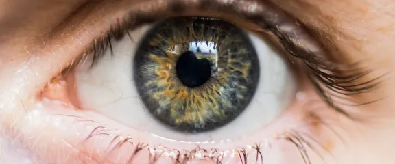 Close up of a human eye