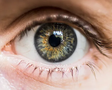 Close up of a human eye