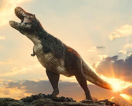 Trex