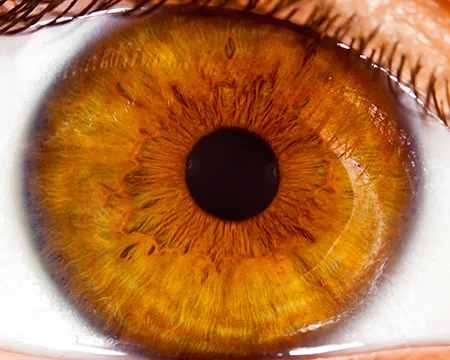 Close up of a human eye