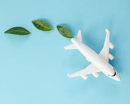 white airplane model, fresh green leaves on blue background