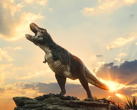 Trex