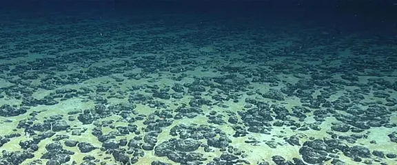 Image: Polymetallic nodules on the seafloor. Credit: NOAA