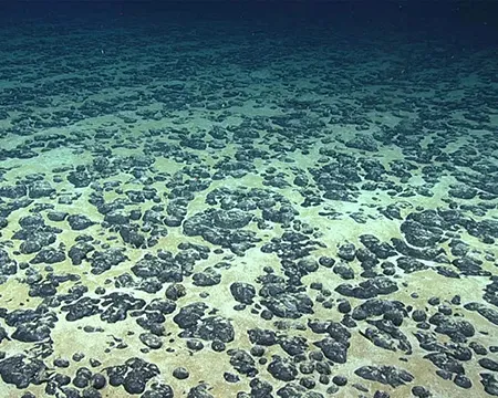 Image: Polymetallic nodules on the seafloor. Credit: NOAA