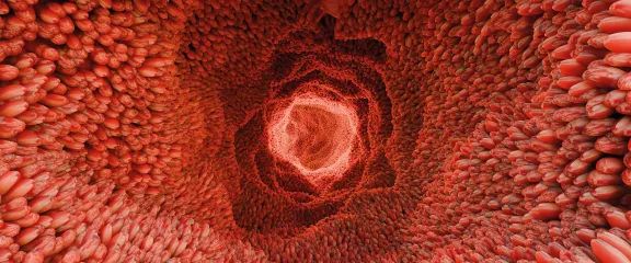 The Spark Magazine - Issue 28. An abstract visualisation of the inside of a human intestine