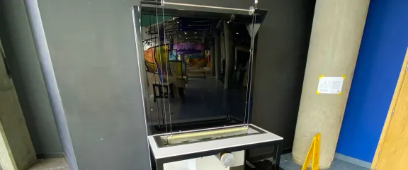 Bubble wall exhibit on Floor 1