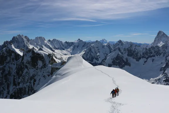 The Last Glaciers
