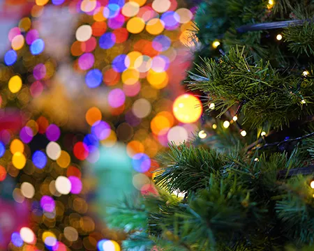A soft focus blur on Christmas tree and lights
