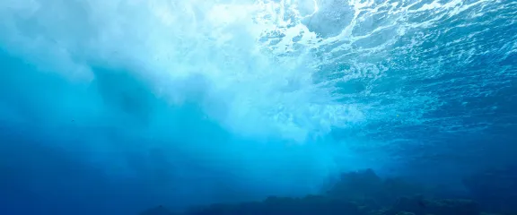 An underwater scene