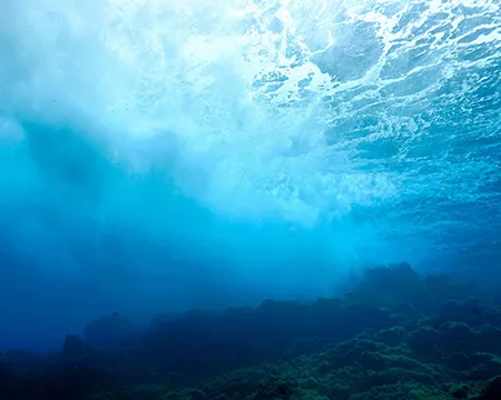 An underwater scene