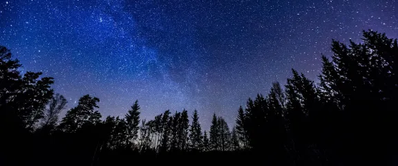 Night sky over rural landscape.