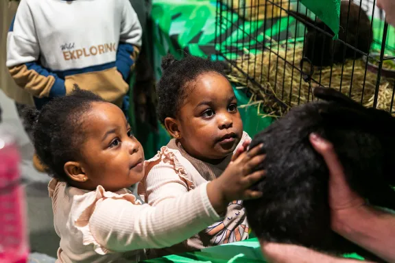 GALLANT - children at an animal handling session