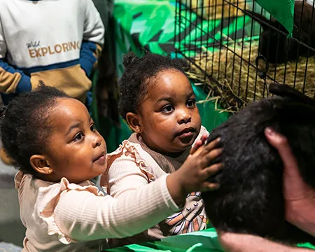 GALLANT - children at an animal handling session