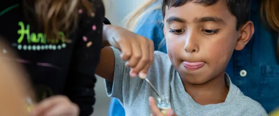 A young boy focuses on an experiment