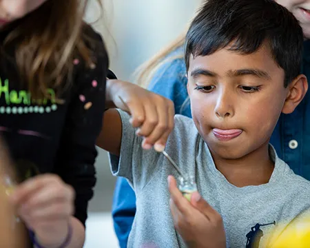 A young boy focuses on an experiment