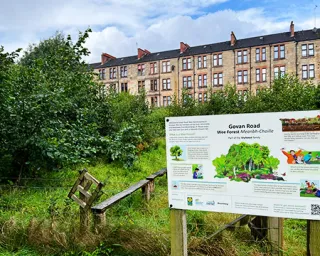 The Wee Forest in Govan