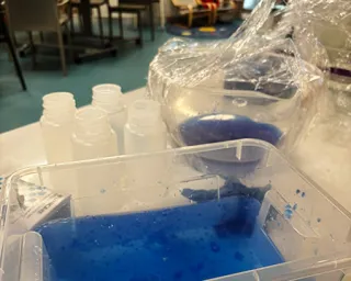 Alginate Worms