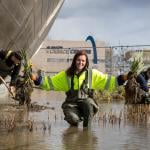 Dr Gillian Lang holds plants in the moat around Glasgow Science Centre that will be turned into wetlands