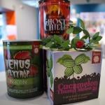 Grow your own kits - venus flytrap, cucamelon and ghost chilli