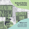 School Strike Image - Text below