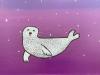 A seal