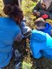 GALLANT - The Roots Project participants planting tree saplings