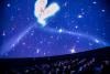 Beautiful images on the dome of the planetarium 
